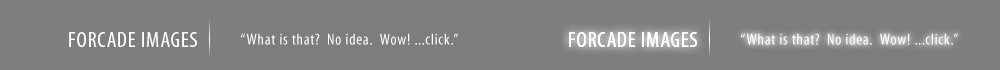 Forcade Images Logo
